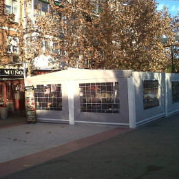 Toldos Pino
