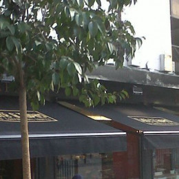 Toldos Pino